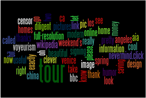 SalvoLavis.com Wordle art